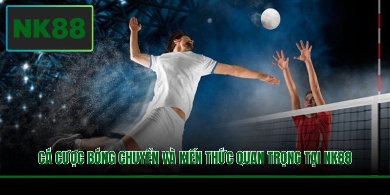 Cá Cược Bóng Chuyền Và Kiến Thức Quan Trọng Tại NK88